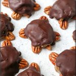 Turtles — YoungstownRecipes.com
